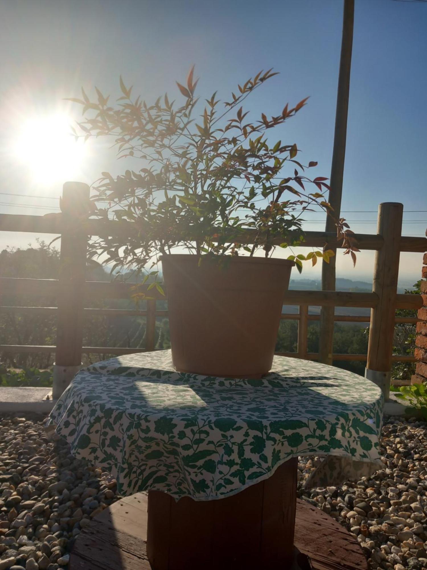 Bed and Breakfast Il Cortile Di Greta Lu (Piedmont) Exterior foto